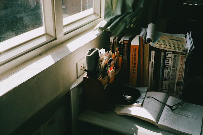 A teenager journaling near a window